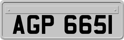 AGP6651