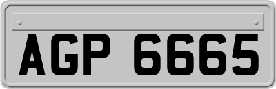 AGP6665
