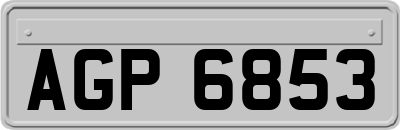 AGP6853