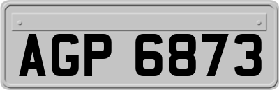 AGP6873
