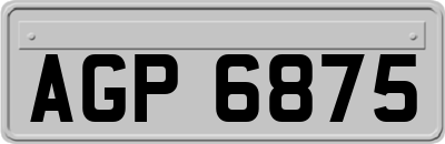 AGP6875
