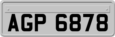 AGP6878