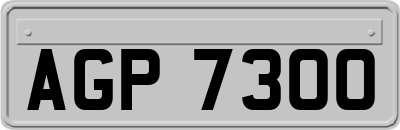 AGP7300