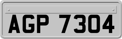 AGP7304