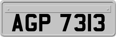 AGP7313