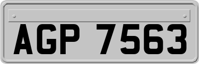 AGP7563