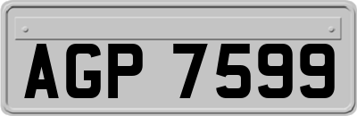 AGP7599