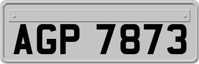 AGP7873