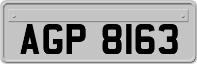 AGP8163