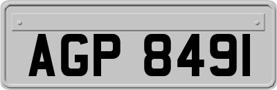 AGP8491