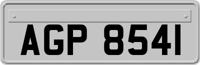 AGP8541
