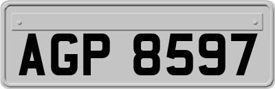 AGP8597