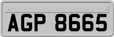 AGP8665