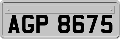 AGP8675