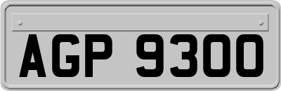AGP9300