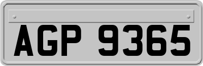 AGP9365