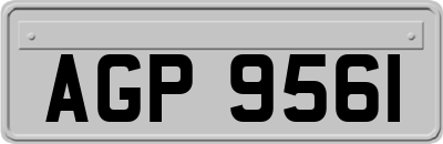 AGP9561