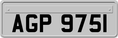 AGP9751