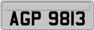 AGP9813