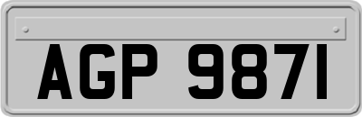 AGP9871
