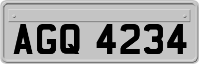 AGQ4234