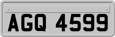 AGQ4599