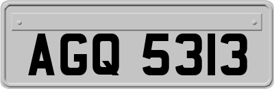 AGQ5313