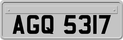 AGQ5317