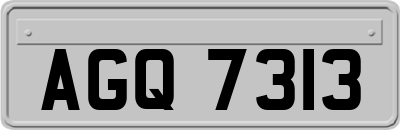 AGQ7313