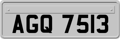 AGQ7513