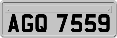AGQ7559