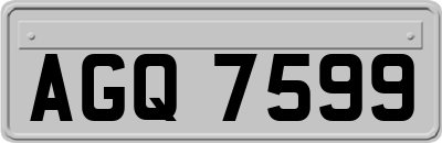 AGQ7599