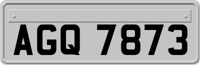 AGQ7873