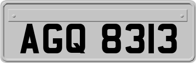 AGQ8313