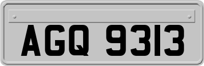 AGQ9313