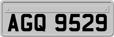 AGQ9529