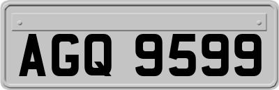 AGQ9599