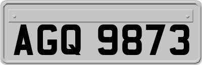 AGQ9873