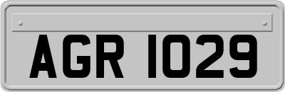 AGR1029
