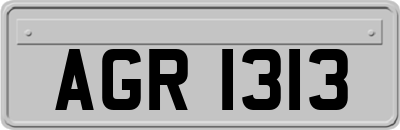 AGR1313