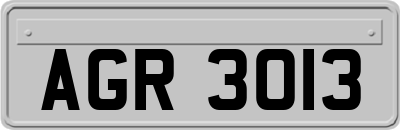 AGR3013