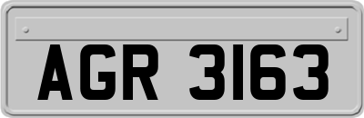 AGR3163