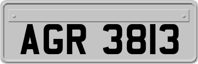 AGR3813