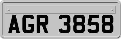AGR3858