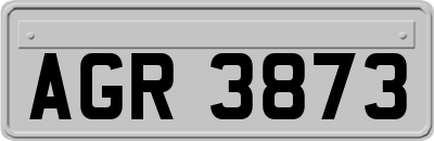 AGR3873