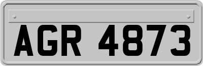 AGR4873