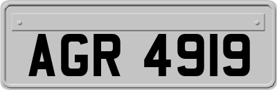 AGR4919