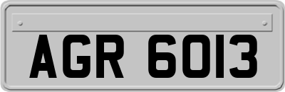 AGR6013
