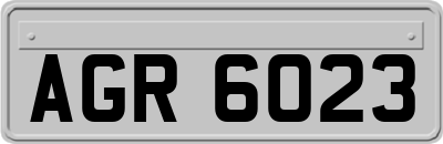 AGR6023