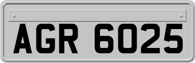 AGR6025
